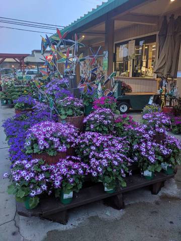 Flowers_2120x4160.jpg